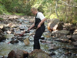 8.5.2. Fiskundersökningar Syfte Syftet med undersökningarna är att upptäcka eventuella beståndsförändringar av fisk (antal, arter) i sjöar och vattendrag.