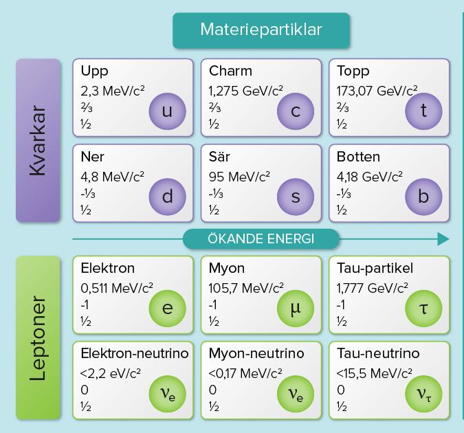 Kvarkar och leptoner tycks i nuläget vara fundamentala partiklar som indelar sig