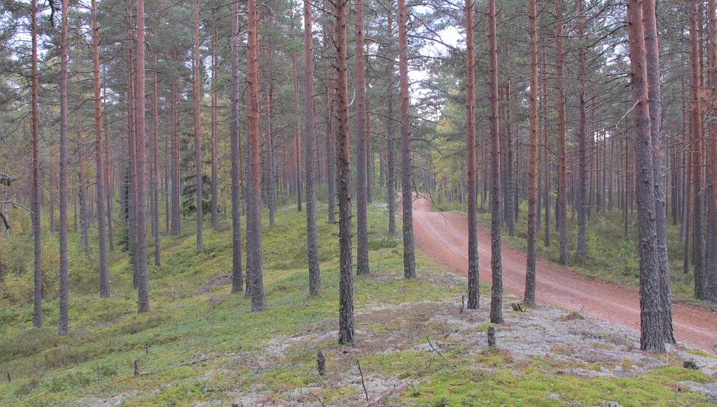 INLEDNING Landskapsfullmäktige beslutade vid sitt möte 7.12.2015 att inleda en revidering av helhetslandskapsplanen för Egentliga Finland. Planen kommer att göras upp som en etapplandskapsplan.