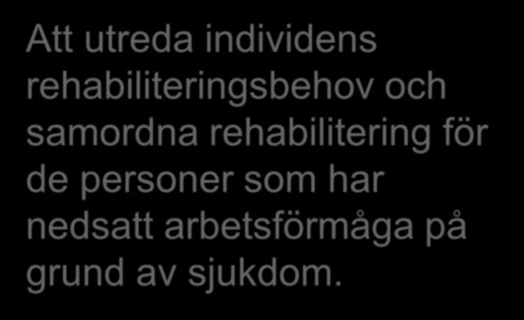 Att utreda individens rehabiliteringsbehov och samordna rehabilitering för de personer som har