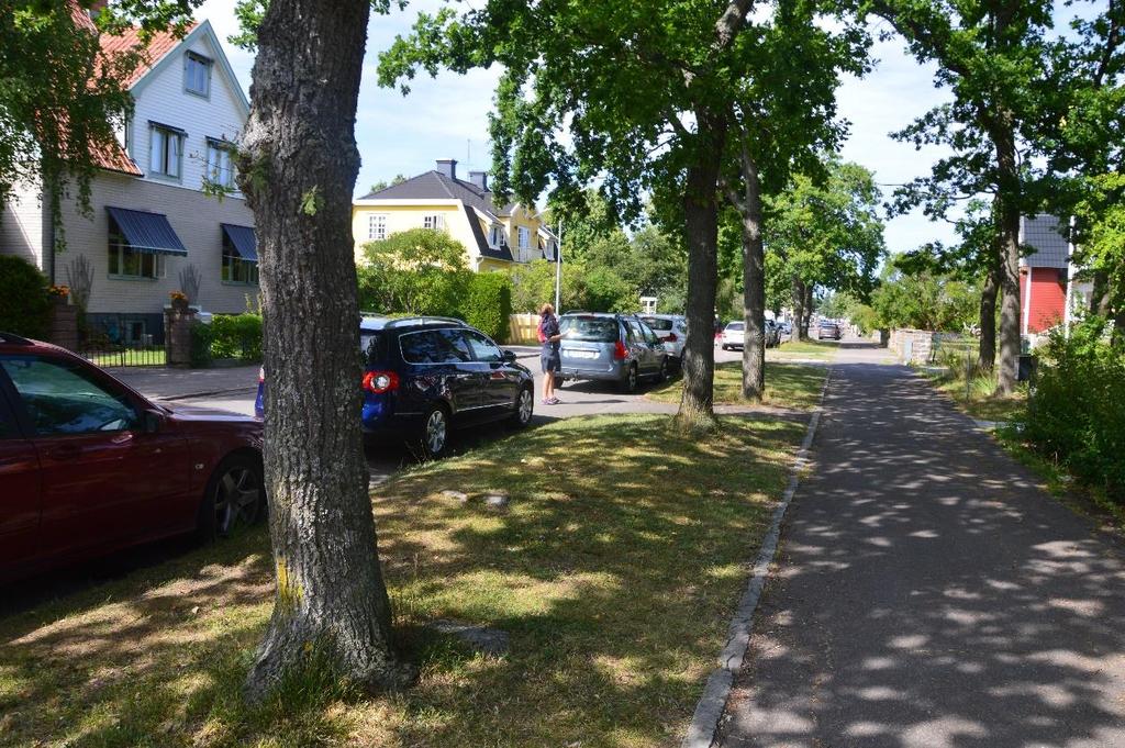 Åtgärder: Borttagning av döda grenar för att undvika skador på parkerade bilar, samt höjning över väg för att undvika att större transporter kör emot grenarna.