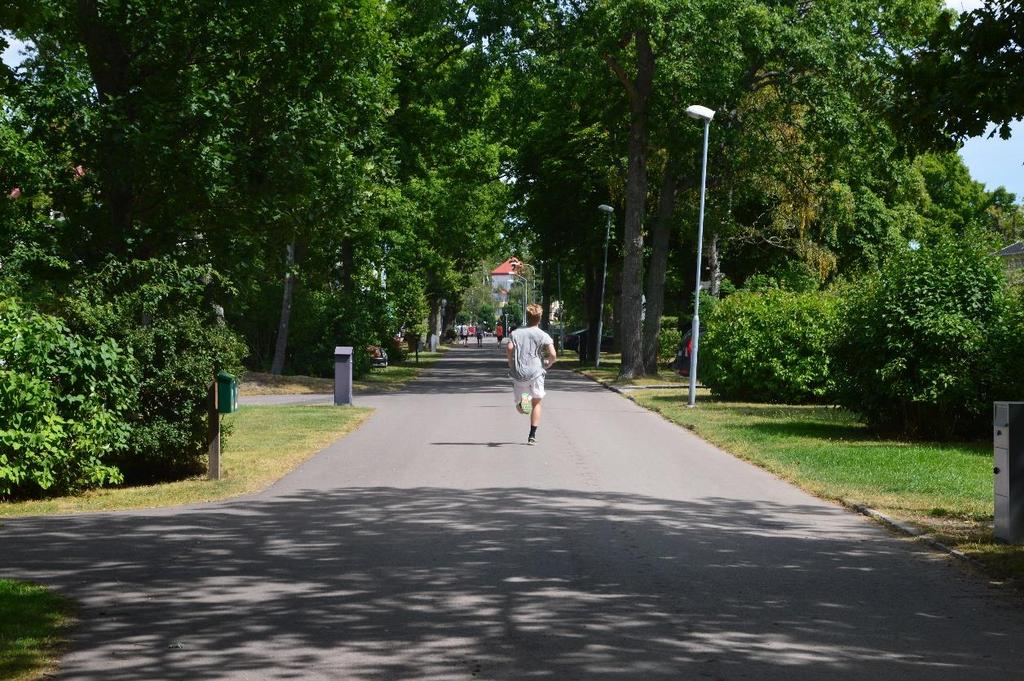 Naturvärden: Totalt antal hålträd i allén räknades till 3 träd, guldlocksmossa upptäcktes på 3 av träden, lönnlav på ett träd och rikliga savflöden fanns på flera av ekarna.