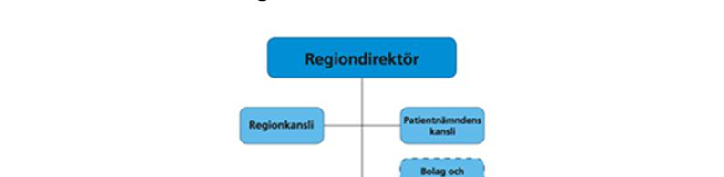 3.2 Verksamhetsorganisation Regiondirektören är verksamhetsorganisationens högsta tjänsteman, direkt underställd regionstyrelsen.