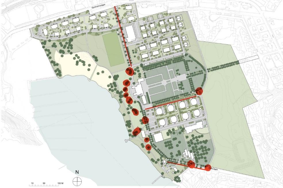 Trädvårdsplan Näsby slott, 2017 10 25 Träd som bedöms få försämrad förankring i marken i samband med ledningsschakten ska stabiliseras.