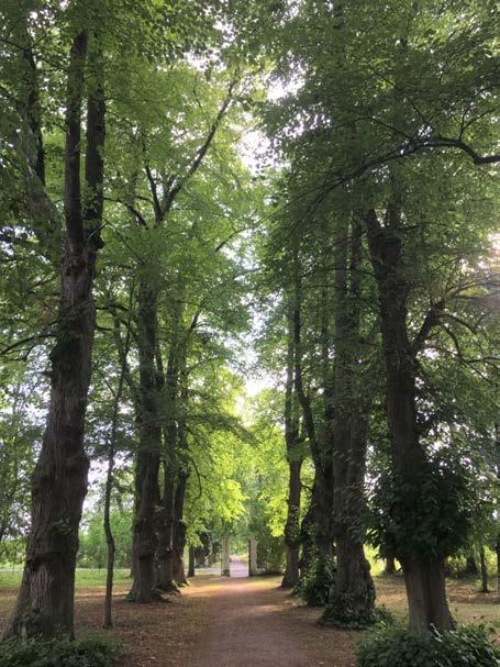 Trädinventering vid Näsby slott, Täby Augusti 2017 Svartsjö Trädkonsult Tel: 0704-90 52