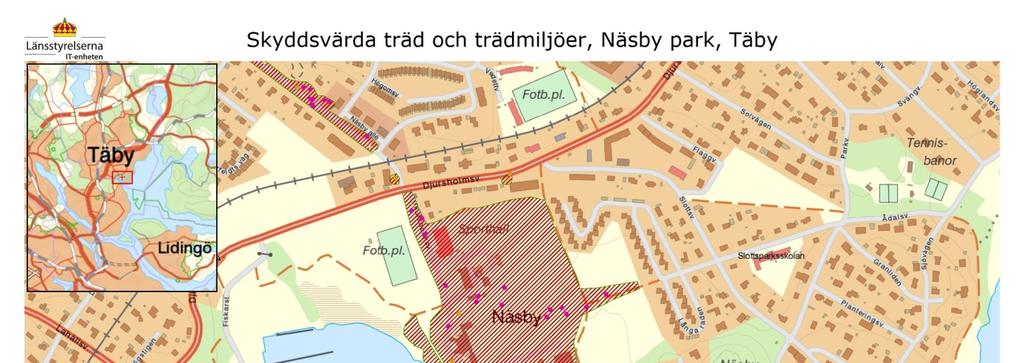 Trädvårdsplan Näsby slott, 2017 10 25 Insatser som syftar till att tillgängliggöra eller informera om värdefulla kulturmiljöer.