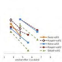 Pilotstudie av rörsvingelkvalitet
