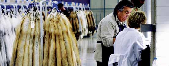 STYRELSENS VERKSAMHETSBERÄTTELSE Prisutveckling för minkskinn 2005/2006 och 2004/2005 Försäljningen av minkskinn fördelades jämt mellan alla marknader, men framför allt Hongkong/Kinas marknadsandel