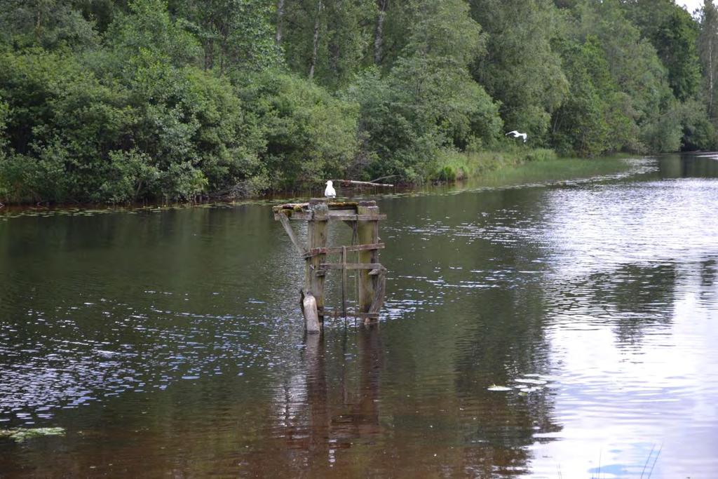 9 Fundament för