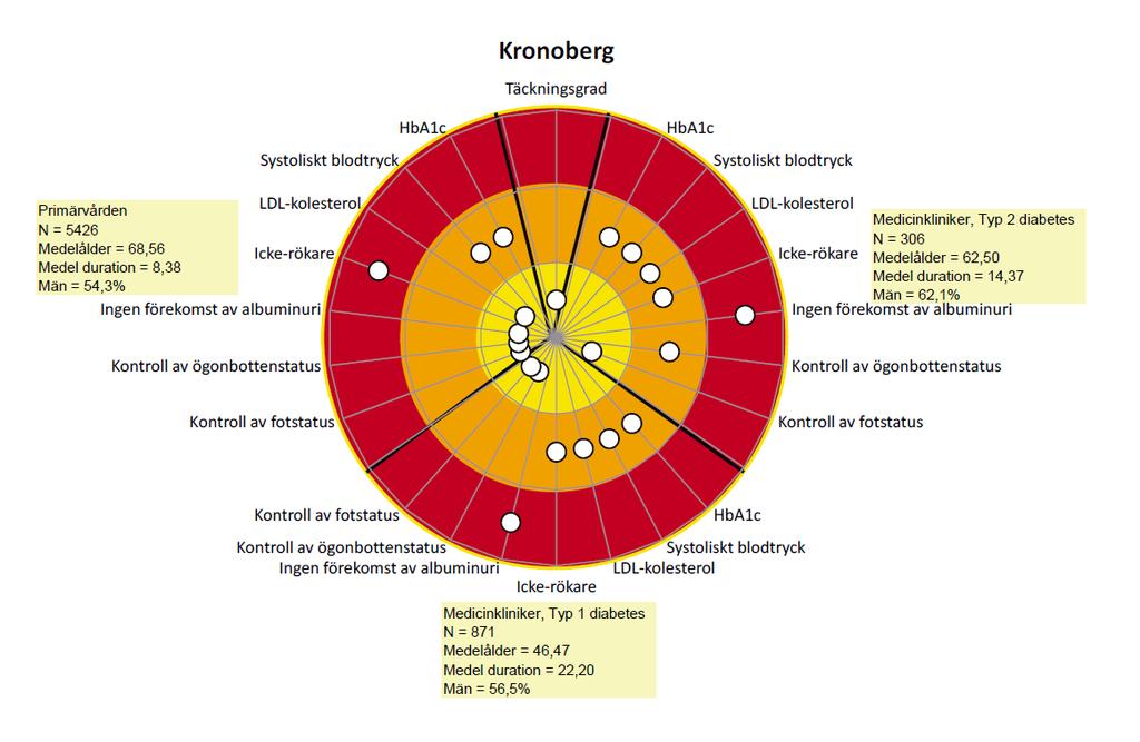 Diabetesregistret