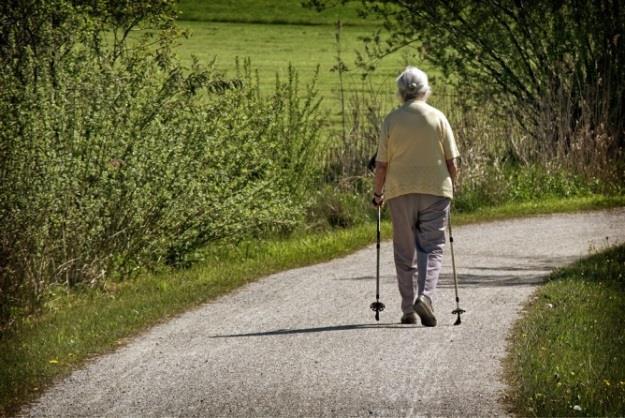 Tema 1: Begreppet Hälsa Vad är hälsa? Att ha hälsa innebär inte endast frånvaro av fysisk sjukdom, utan även hur man mår psykiskt och socialt.