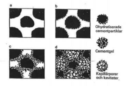 2.2 Cementpasta När vatten tillsätts till cement reagerar dessa två komponenter och bildar cementpasta enligt Ekv. (1) [8].