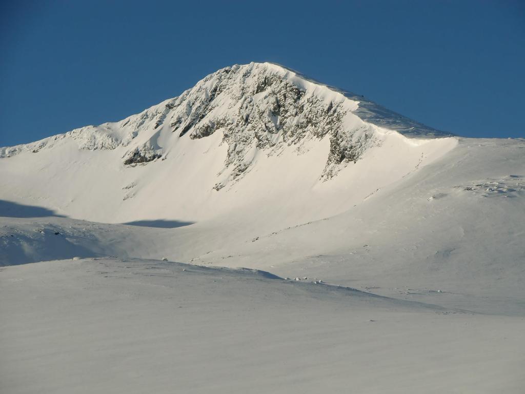 Fjälltopp TVT Anette Nilsson,