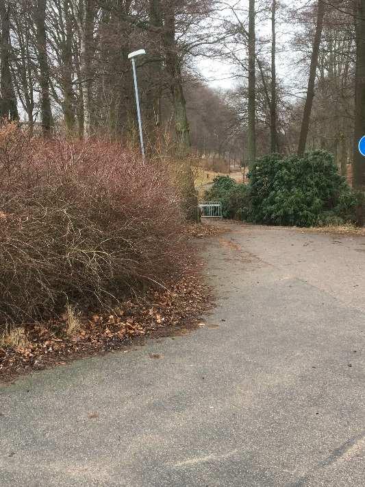 Anteckningar från trygghetsvandring den 8 mars kl 18:30-21 i Stadsparken samt Tvättebäcksparken, bussterminalen och LP Hanssons väg Deltagare: Jerker Alfredsson, grannsamverkan Blomstervägen.