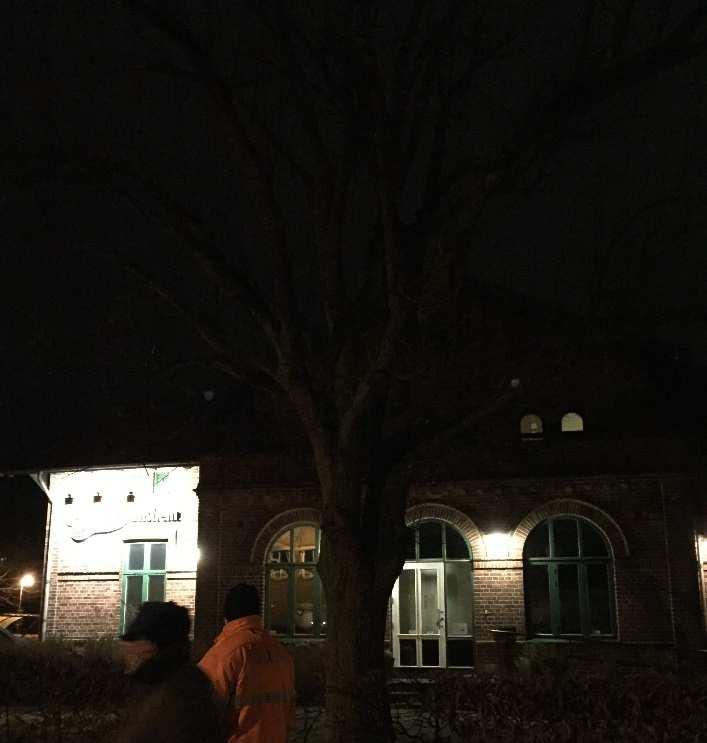 Trädet utanför Laholmshems lokaler på Stationsgatan upplevdes som mörkt. Ev.