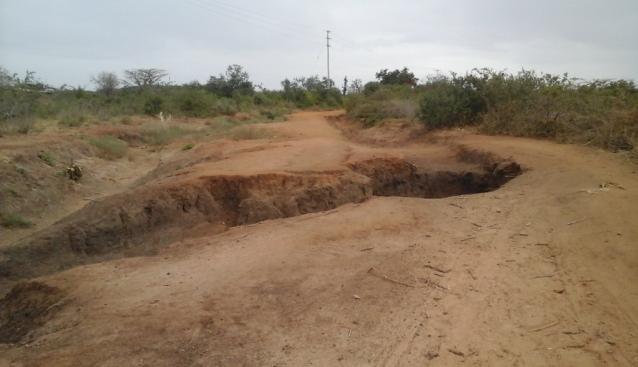 Mutomo Primary School 2018 3. Kaseva Rock catchment Den stora dammväggen vi byggde upp 2013 håller ej tätt.