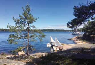 Intresset var i år väldigt svalt då endast fem båtar var anmälda.