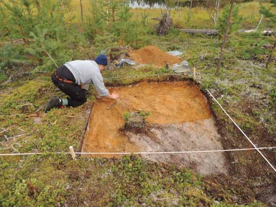 11 Bild 3 Raä 413, Älvsby sn, fångstgrop,