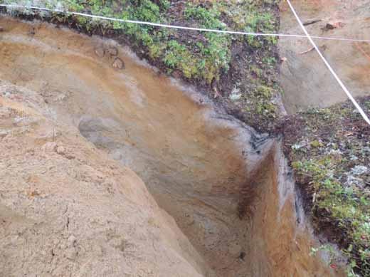 15 Bild 11 Raä 413, Älvsby sn, profil N-S, SÖ