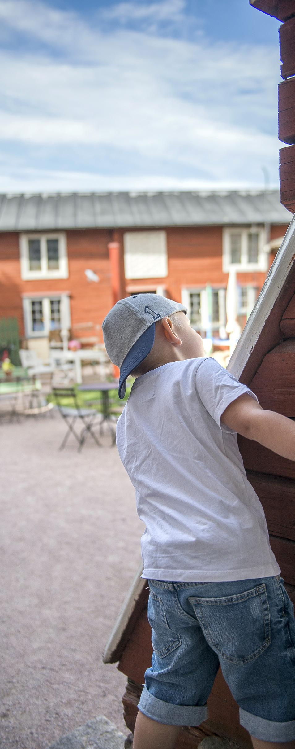 Skola och äldreomsorg Antalet äldre på landsbygden blir allt fler, vilket ställer särskilda krav på kommunens verksamheter.