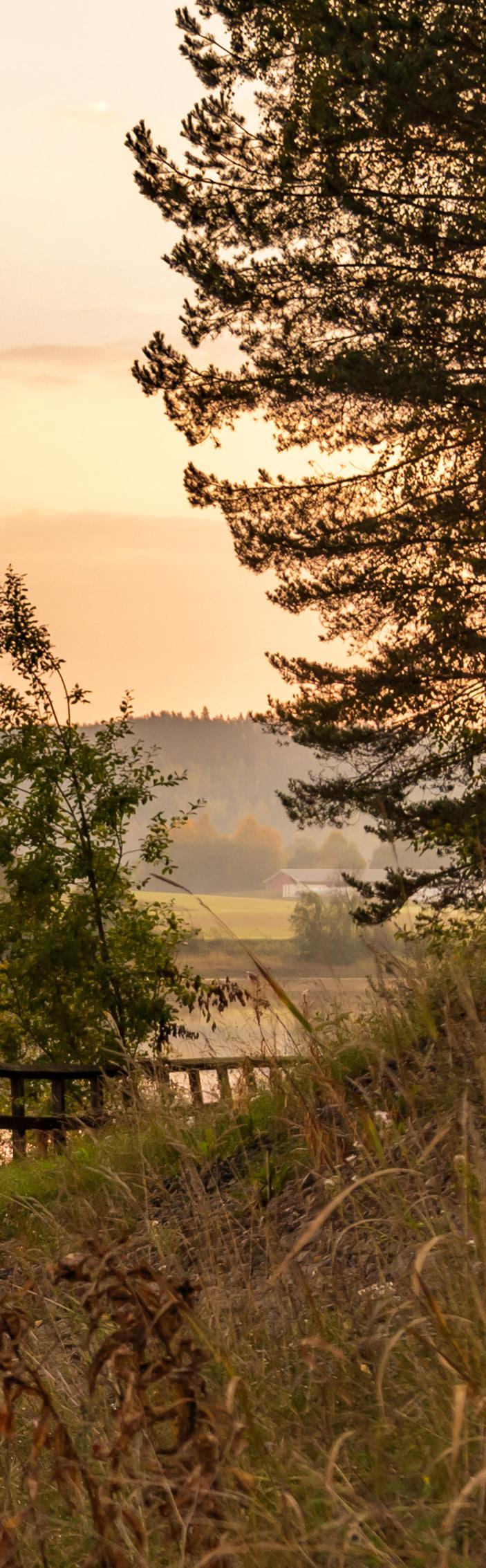 Innehåll Landsbygdsprogram 4 En välkomnande och hållbar kommun 5 Stadens historia är landsbygdens 6 Brett lokalt engagemang 7 Ungdomars inflytande 8 Landskapet 8 Näringsliv 9 Bostäder och