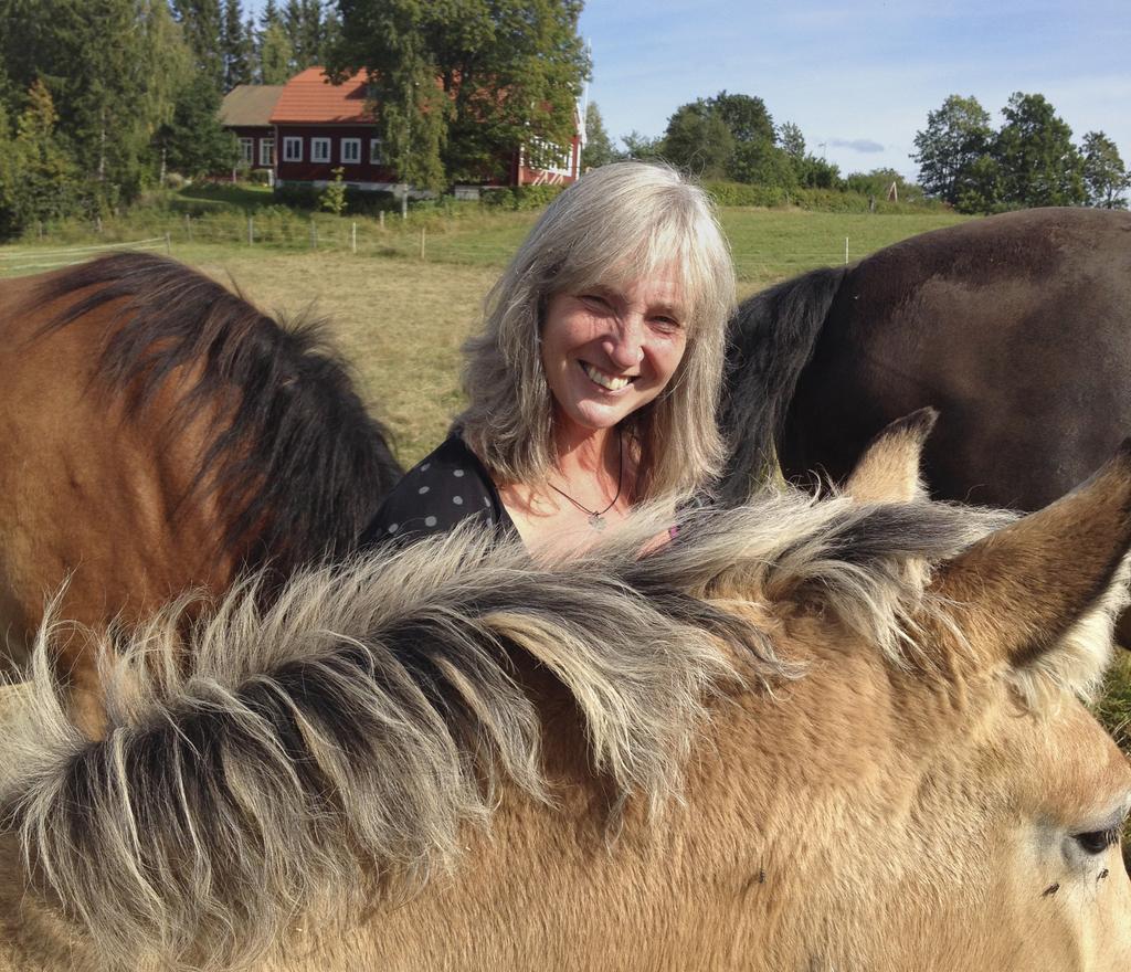 En välkomnande och hållbar kommun Hedemora kommun ska uppfattas som en välkomnande kommun, både att bo och verka i.