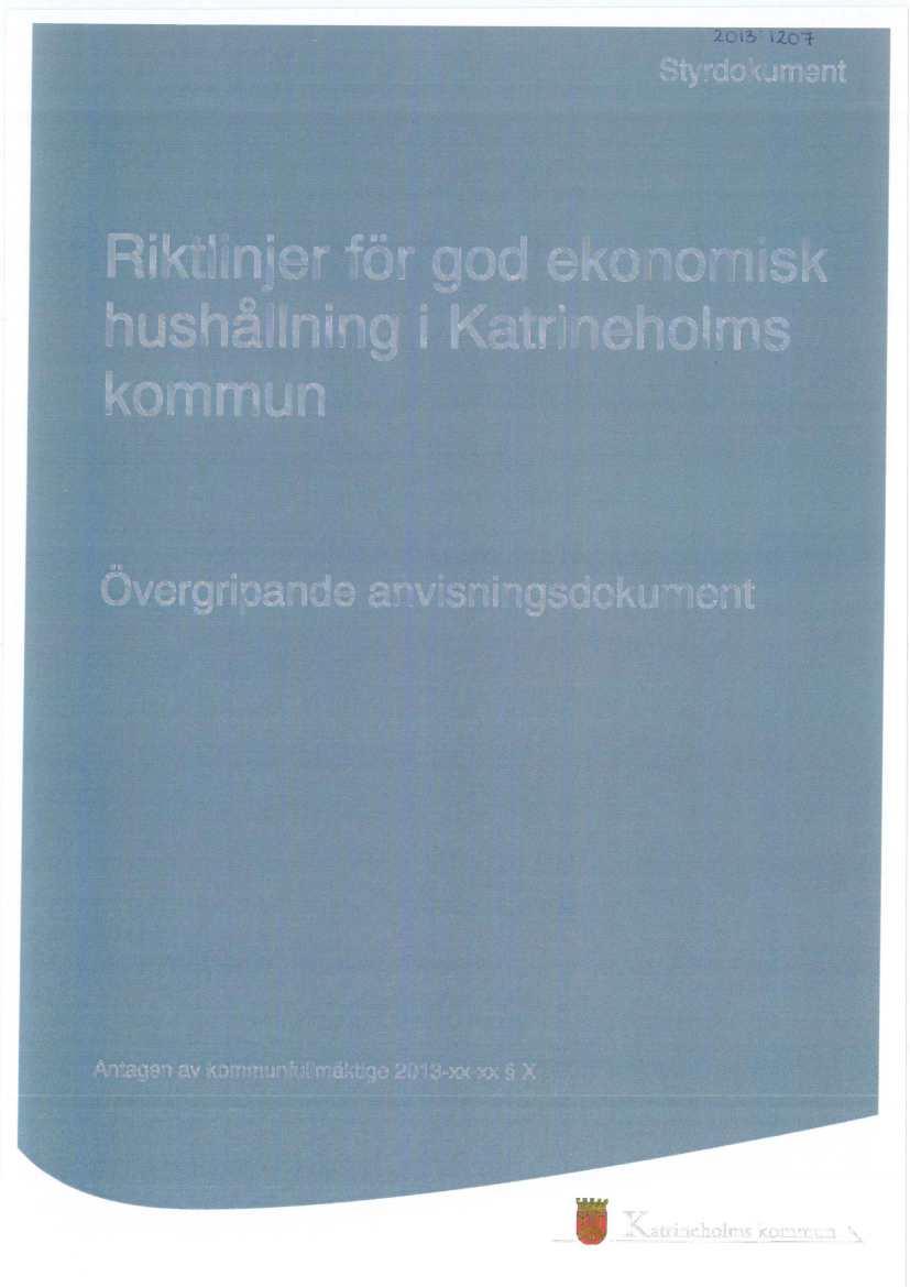 Styrdokument Riktiin'er 1
