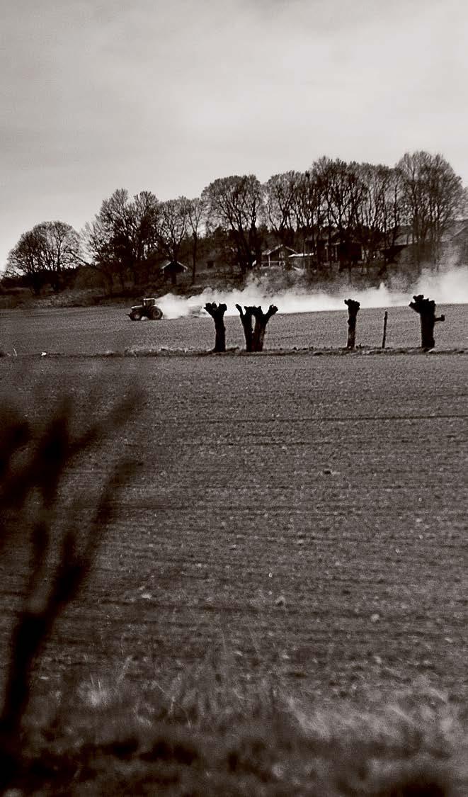 ÅKERMARKSPRISER HELÅR 2017