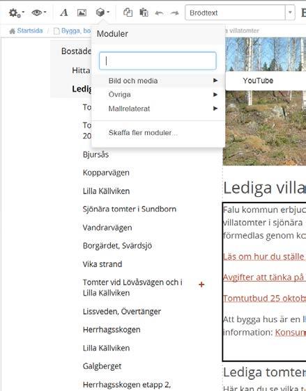 Verktygslisten 2 Behörighetsstyrd funktion Vilka moduler som du kan jobba med är beroende av vad du har för roll och arbetsuppgifter i webborganisationen.