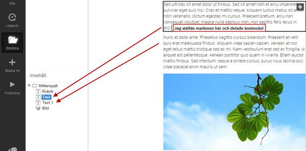Andra viktiga funktioner och arbetssätt i SiteVision 4 Textruta med kontaktinformation 1.