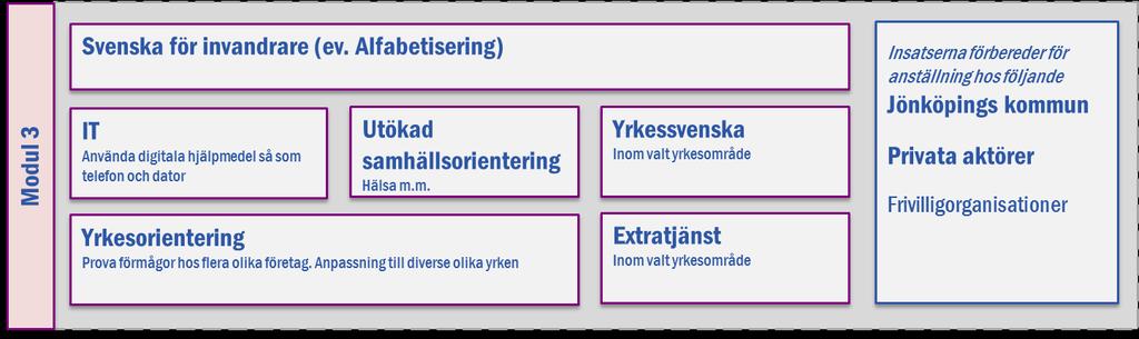 Dessa kan även vara ensamkommande som precis passerat åldern för språkintroduktionen på gymnasiet och i stort sett saknar utbildning från sitt hemland.