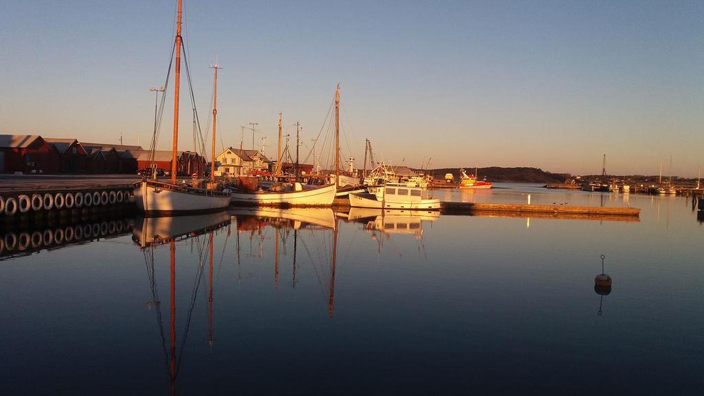 Bua, ett samhälle i utveckling vad vill