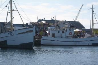 Fiske