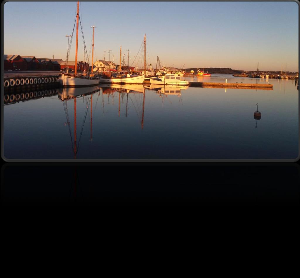 välskötta