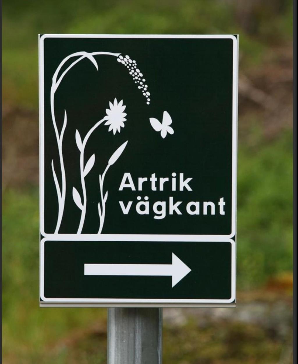 Det unika