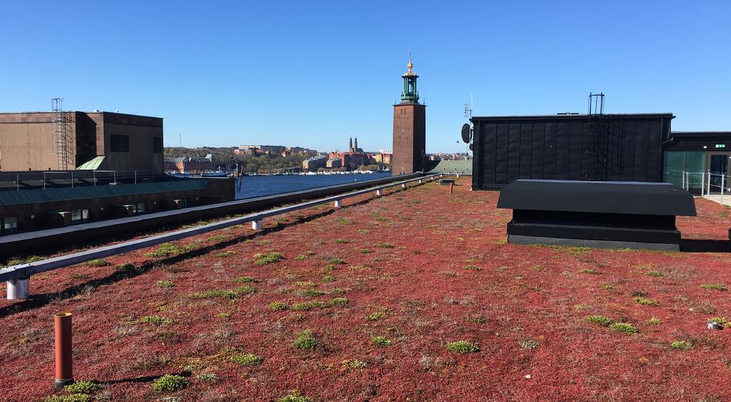 Miljösmarta tak med solceller Gröna tak ger biologisk mångfald, hanterar dagvatten, ger renare luft och sänker bullernivån. Vita tak gör byggnader svalare.