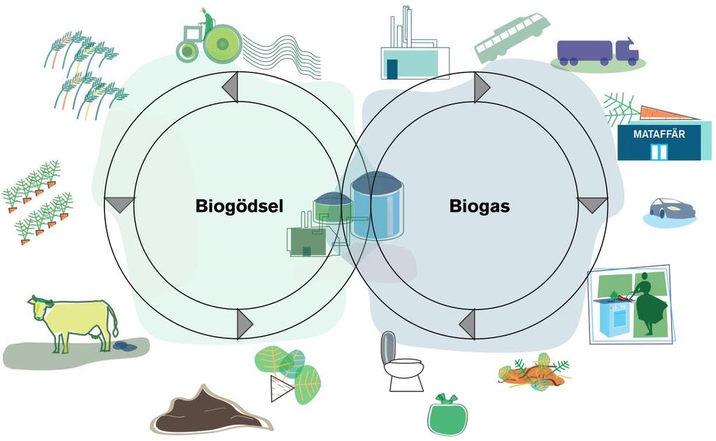 Biogasen är mer än ett förnybart drivmedel Hållbar avfallshantering Sluter kretslopp genom biogödseln Landsbygdsutveckling Minskad