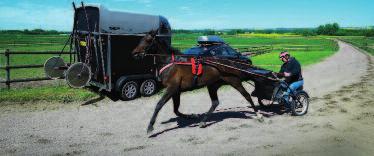Bli medlem i Sleipner Dalarna Du som vill stödja Sleipner Dalarna och kallblodstravaren, bli medlem i travklubben Sleipner genom att sätta in 200 kr på pg 70 40 24-9. Märk talongen med Dalarna!