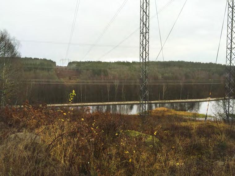 Figur 5. Exempel på passage över vattendrag där den strandnära lövskogen sparats. Bilden är tagen där en befintlig 400 kv-ledning passerar Mörrumsån. 2.