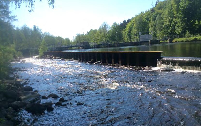 utmärker sig särskilt när det gäller förekomst av stormusslor och alla inhemska arter utom äkta målarmussla har påträffats här.