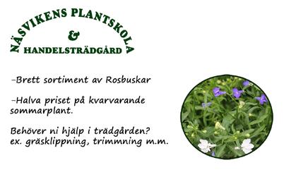 Julklappserbjudande Ansiktsbehandling NBE Luxury 90 min 1289:- ord 1689:-