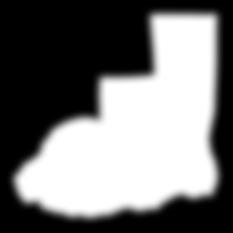 Grilljärn 795:-