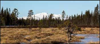 Gör en "Planet" En planet är en sån där rund bild som ser ut som om man vridit ihop kortsidorna mot varandra. Det är enkelt att göra en sån bild i Photoshop Elements.