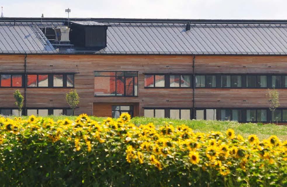 Företag & Service Näringsliv och kommersiell service Företagande och näringsliv i Linköpings omland är omfattande och varierande. De flesta företag är små och många återfinns inom de gröna näringarna.