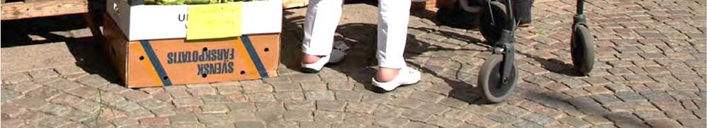 Ett problem för att utveckla och professionalisera turismen är att den är starkt säsongsbetonad vilket gör det svårt för entreprenörer att leva av sin produkt.