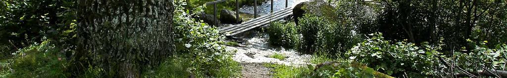 Linköpings landskap präglas av slättmiljön; i kommunen finns stora arealer jordbruksmark av hög kvalitet och värde.