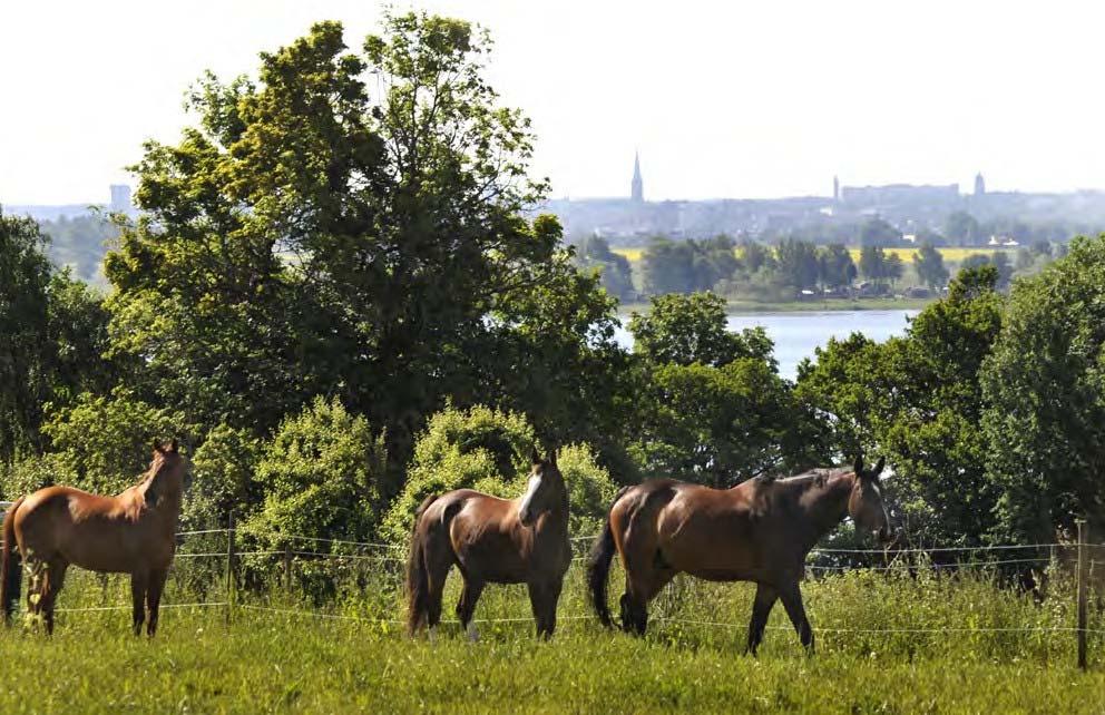I kommunen finns det över 2 800 fritidsfastigheter varav de flesta ligger på landsbygden och i natursköna lägen.
