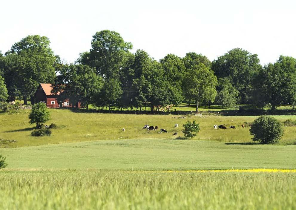 Omvänt finns det även bebyggelse av permanent karaktär som används för delårsboende.