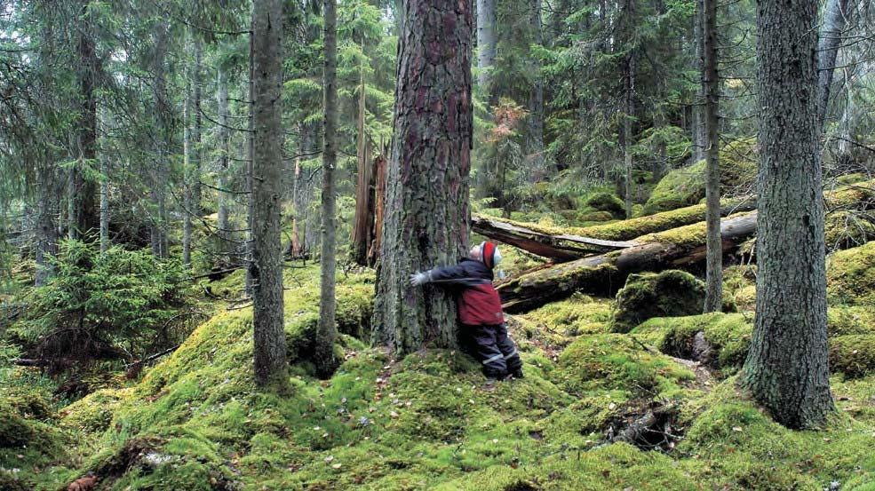 Översiktsplanen - faktaruta I Översiktsplanen för landsbygden och småorterna, antagen 2014, finns: 34 småorter med utvecklingsskisser där komplettering med ny bostadsbebyggelse är möjlig (Slaka,