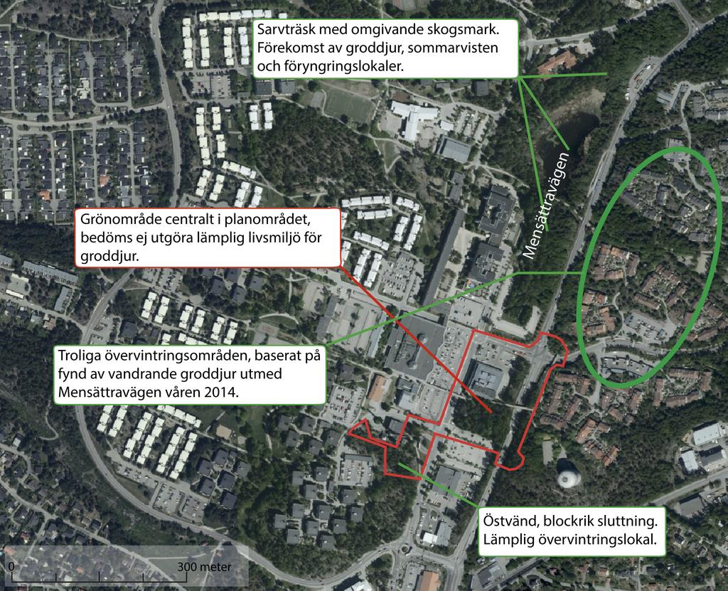 Vid panncentralen, i planområdets sydvästra del ligger en hällmarkstallskog som delvis ligger inom planområdet. Figur 2.